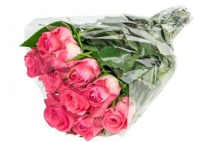 sector flowers sector flowers